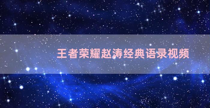 王者荣耀赵涛经典语录视频