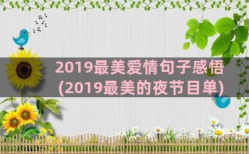 2019最美爱情句子感悟(2019最美的夜节目单)