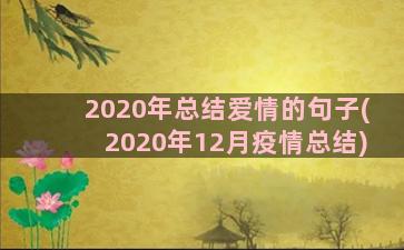 2020年总结爱情的句子(2020年12月疫情总结)