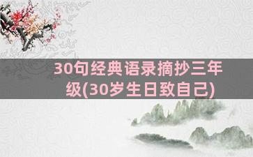 30句经典语录摘抄三年级(30岁生日致自己)