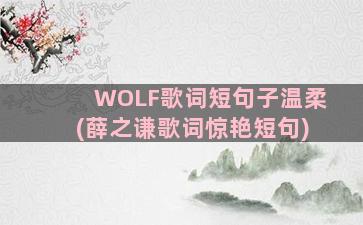 WOLF歌词短句子温柔(薛之谦歌词惊艳短句)