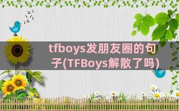 tfboys发朋友圈的句子(TFBoys解散了吗)