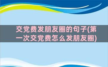 交党费发朋友圈的句子(第一次交党费怎么发朋友圈)