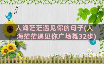 人海茫茫遇见你的句子(人海茫茫遇见你广场舞32步)