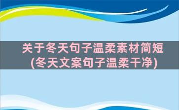 关于冬天句子温柔素材简短(冬天文案句子温柔干净)