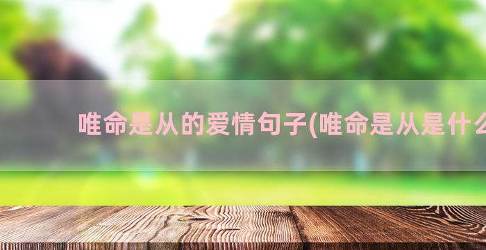 唯命是从的爱情句子(唯命是从是什么句)