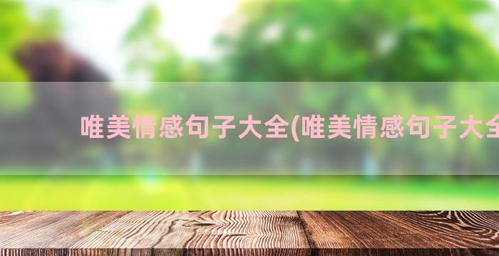 唯美情感句子大全(唯美情感句子大全集)