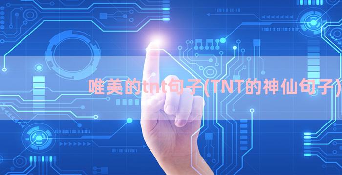 唯美的tnt句子(TNT的神仙句子)