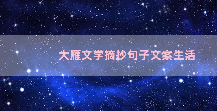 大雁文学摘抄句子文案生活