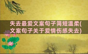 失去最爱文案句子简短温柔(文案句子关于爱情伤感失去)