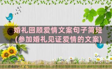 婚礼回顾爱情文案句子简短(参加婚礼见证爱情的文案)