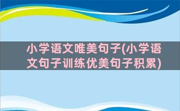 小学语文唯美句子(小学语文句子训练优美句子积累)