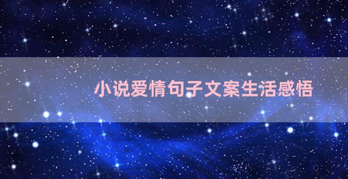 小说爱情句子文案生活感悟