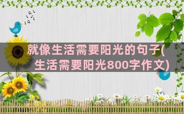 就像生活需要阳光的句子(生活需要阳光800字作文)