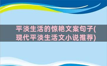 平淡生活的惊艳文案句子(现代平淡生活文小说推荐)