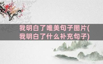 我明白了唯美句子图片(我明白了什么补充句子)