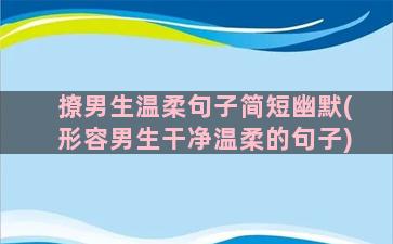 撩男生温柔句子简短幽默(形容男生干净温柔的句子)