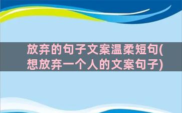 放弃的句子文案温柔短句(想放弃一个人的文案句子)