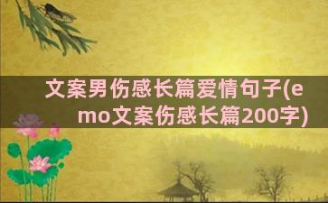 文案男伤感长篇爱情句子(emo文案伤感长篇200字)