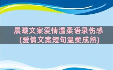 晨曦文案爱情温柔语录伤感(爱情文案短句温柔成熟)