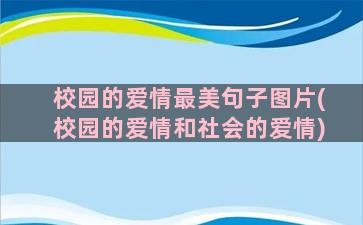 校园的爱情最美句子图片(校园的爱情和社会的爱情)