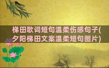 梯田歌词短句温柔伤感句子(夕阳梯田文案温柔短句图片)