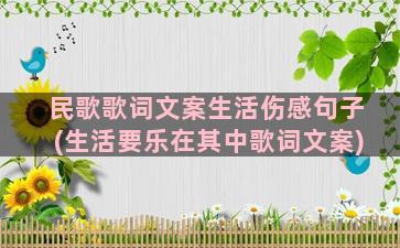 民歌歌词文案生活伤感句子(生活要乐在其中歌词文案)