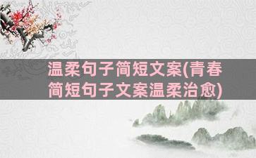 温柔句子简短文案(青春简短句子文案温柔治愈)