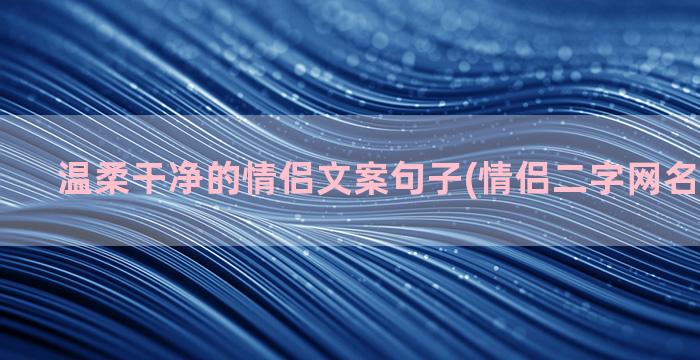 温柔干净的情侣文案句子(情侣二字网名干净温柔)