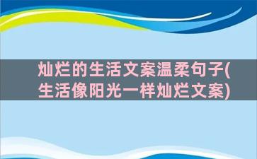 灿烂的生活文案温柔句子(生活像阳光一样灿烂文案)