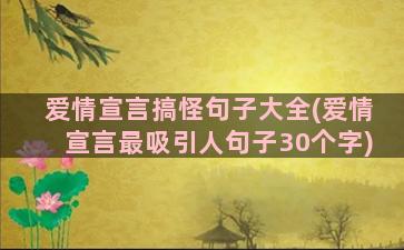 爱情宣言搞怪句子大全(爱情宣言最吸引人句子30个字)