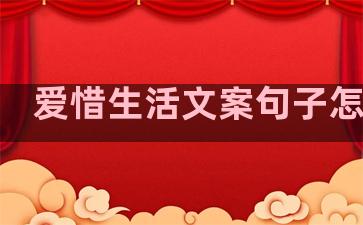 爱惜生活文案句子怎么写