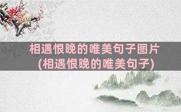 相遇恨晚的唯美句子图片(相遇恨晚的唯美句子)