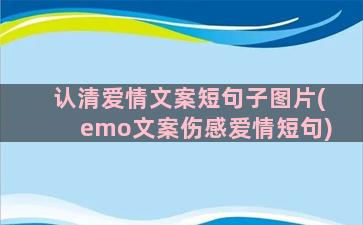 认清爱情文案短句子图片(emo文案伤感爱情短句)