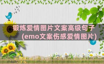 锻炼爱情图片文案高级句子(emo文案伤感爱情图片)